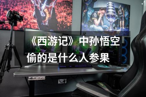 《西游记》中孙悟空偷的是什么人参果-第1张-游戏信息-龙启网
