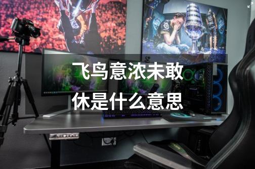飞鸟意浓未敢休是什么意思-第1张-游戏信息-龙启网