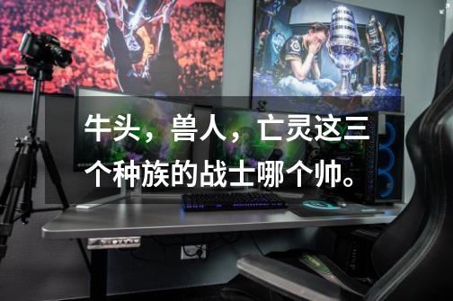 牛头，兽人，亡灵这三个种族的战士哪个帅。-第1张-游戏信息-龙启网
