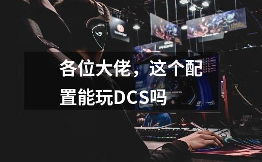 各位大佬,这个配置能玩DCS吗-第1张-游戏信息-龙启网