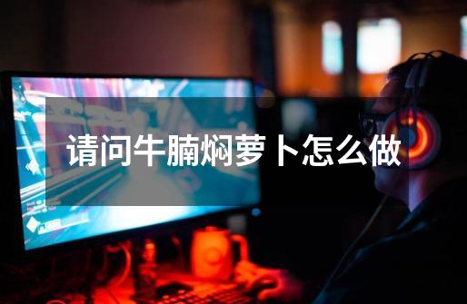 请问牛腩焖萝卜怎么做-第1张-游戏信息-龙启网