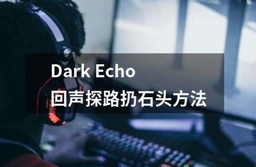 Dark Echo回声探路扔石头方法-第1张-游戏信息-龙启网