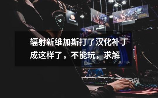 辐射新维加斯打了汉化补丁成这样了，不能玩，求解-第1张-游戏信息-龙启网