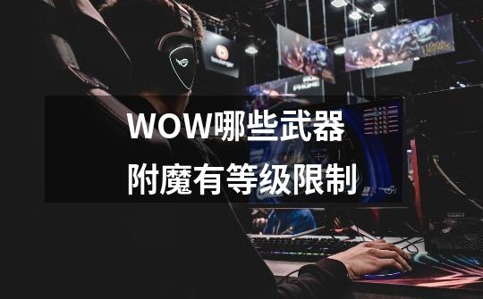 WOW哪些武器附魔有等级限制-第1张-游戏信息-龙启网