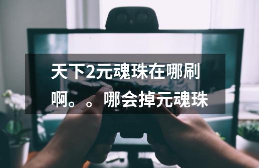 天下2元魂珠在哪刷啊。。哪会掉元魂珠-第1张-游戏信息-龙启网