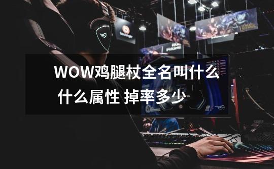WOW鸡腿杖全名叫什么 什么属性 掉率多少-第1张-游戏信息-龙启网