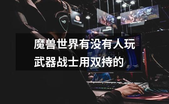 魔兽世界有没有人玩武器战士用双持的-第1张-游戏信息-龙启网