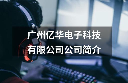 广州亿华电子科技有限公司公司简介-第1张-游戏信息-龙启网