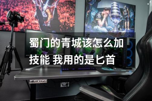 蜀门的青城该怎么加技能 我用的是匕首-第1张-游戏信息-龙启网