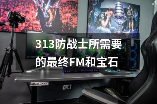 3.1.3防战士所需要的最终FM和宝石-第1张-游戏信息-龙启网