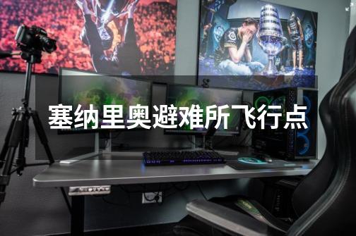 塞纳里奥避难所飞行点-第1张-游戏信息-龙启网