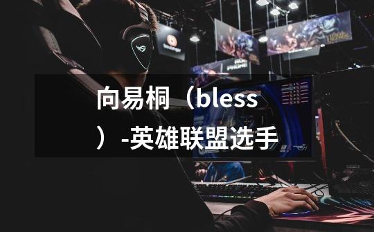 向易桐(bless)-英雄联盟选手-第1张-游戏信息-龙启网