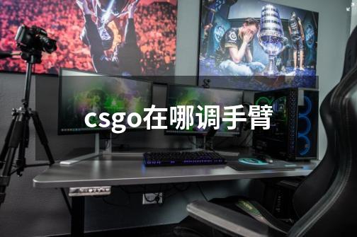 csgo在哪调手臂-第1张-游戏信息-龙启网