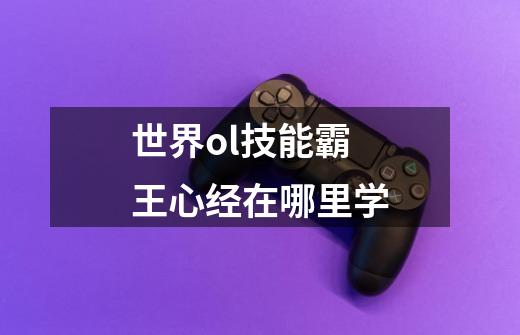 世界ol技能霸王心经在哪里学-第1张-游戏信息-龙启网
