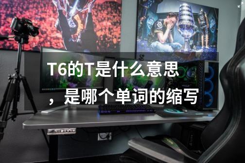 T6的T是什么意思,是哪个单词的缩写-第1张-游戏信息-龙启网