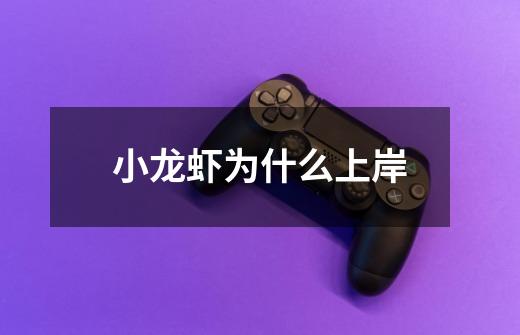 小龙虾为什么上岸-第1张-游戏信息-龙启网