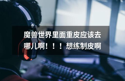 魔兽世界里面重皮应该去哪儿啊!!!想练制皮啊-第1张-游戏信息-龙启网