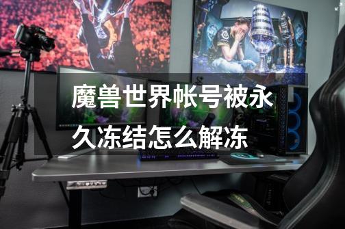 魔兽世界帐号被永久冻结怎么解冻-第1张-游戏信息-龙启网