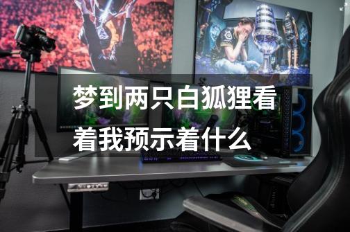 梦到两只白狐狸看着我预示着什么-第1张-游戏信息-龙启网