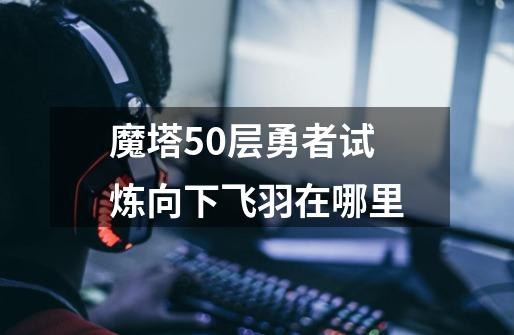 魔塔50层勇者试炼向下飞羽在哪里-第1张-游戏信息-龙启网