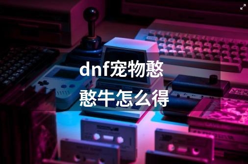 dnf宠物憨憨牛怎么得-第1张-游戏信息-龙启网