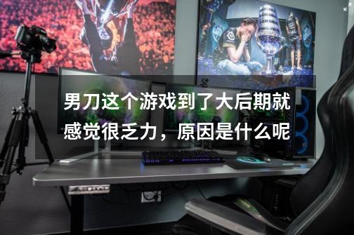 男刀这个游戏到了大后期就感觉很乏力,原因是什么呢-第1张-游戏信息-龙启网