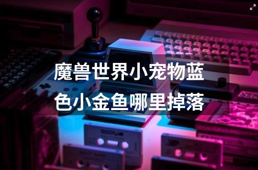 魔兽世界小宠物蓝色小金鱼哪里掉落-第1张-游戏信息-龙启网