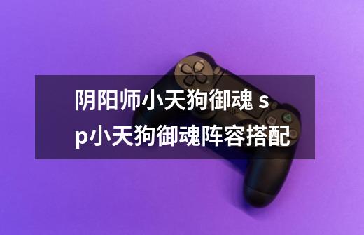 阴阳师小天狗御魂 sp小天狗御魂阵容搭配-第1张-游戏信息-龙启网
