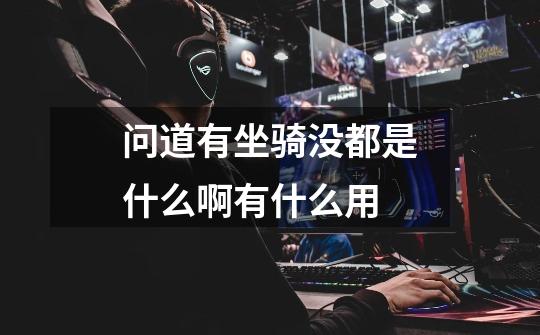 问道有坐骑没都是什么啊有什么用-第1张-游戏信息-龙启网