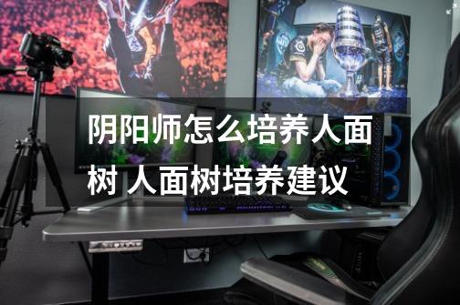 阴阳师怎么培养人面树 人面树培养建议-第1张-游戏信息-龙启网