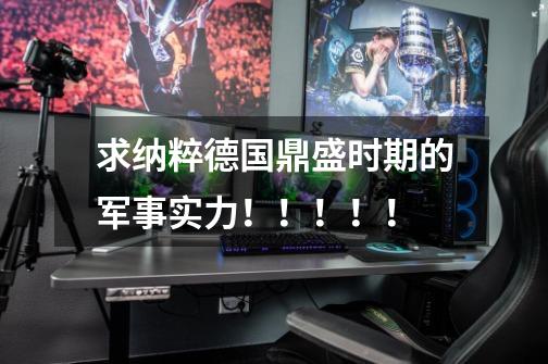 求纳粹德国鼎盛时期的军事实力!!!!!-第1张-游戏信息-龙启网