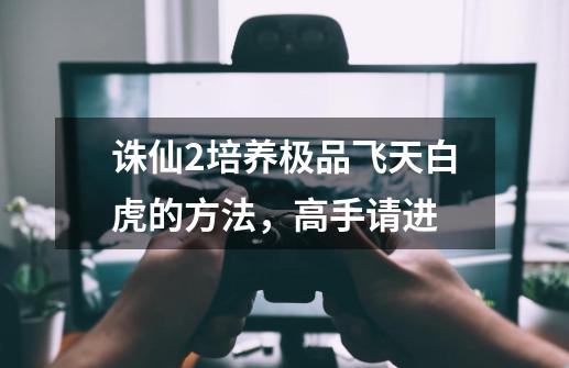 诛仙2培养极品飞天白虎的方法,高手请进-第1张-游戏信息-龙启网