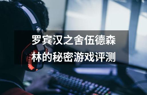 罗宾汉之舍伍德森林的秘密游戏评测-第1张-游戏信息-龙启网