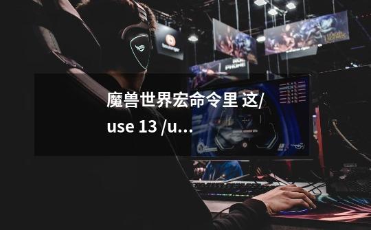 魔兽世界宏命令里 这/use 13 /use 14 什么意思啊-第1张-游戏信息-龙启网