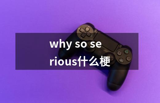 why so serious什么梗-第1张-游戏信息-龙启网