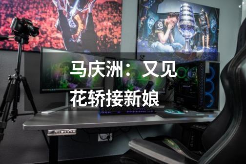 马庆洲:又见花轿接新娘-第1张-游戏信息-龙启网