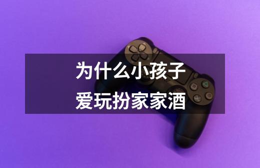 为什么小孩子爱玩扮家家酒-第1张-游戏信息-龙启网