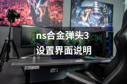 ns合金弹头3设置界面说明-第1张-游戏信息-龙启网