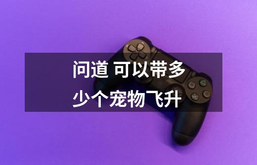 问道 可以带多少个宠物飞升-第1张-游戏信息-龙启网