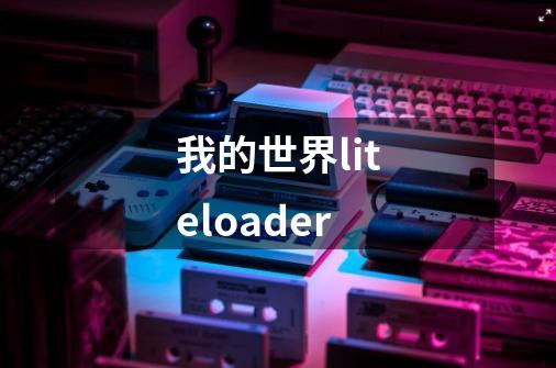 我的世界liteloader-第1张-游戏信息-龙启网