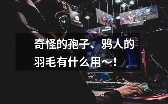 奇怪的孢子、鸦人的羽毛有什么用~!-第1张-游戏信息-龙启网