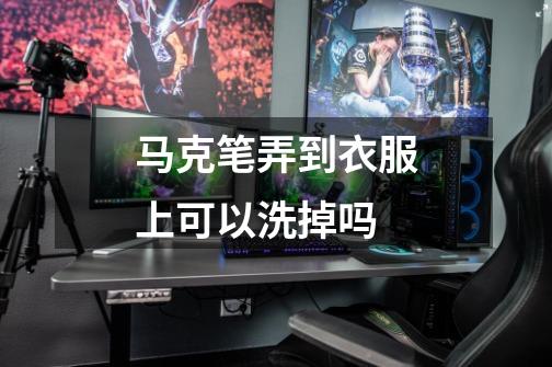 马克笔弄到衣服上可以洗掉吗-第1张-游戏信息-龙启网
