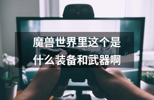 魔兽世界里这个是什么装备和武器啊-第1张-游戏信息-龙启网