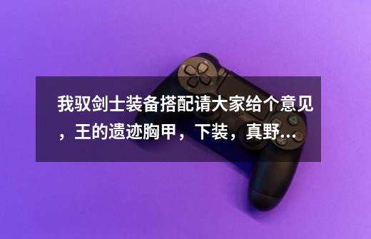 我驭剑士装备搭配请大家给个意见,王的遗迹胸甲,下装,真野猪护肩,腰带,鞋子,辅助骷髅骑士手套,魔法-第1张-游戏信息-龙启网