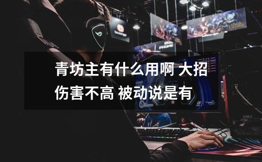 青坊主有什么用啊 大招伤害不高 被动说是有-第1张-游戏信息-龙启网