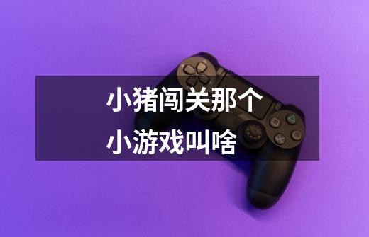 小猪闯关那个小游戏叫啥-第1张-游戏信息-龙启网
