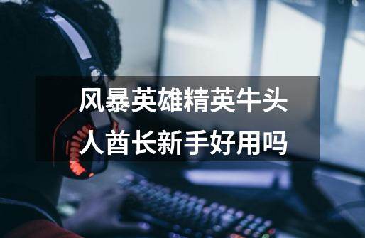 风暴英雄精英牛头人酋长新手好用吗-第1张-游戏信息-龙启网