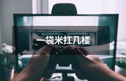 一袋米扛几楼-第1张-游戏信息-龙启网