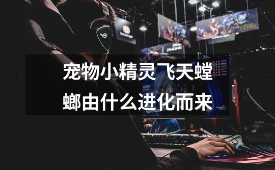 宠物小精灵飞天螳螂由什么进化而来-第1张-游戏信息-龙启网
