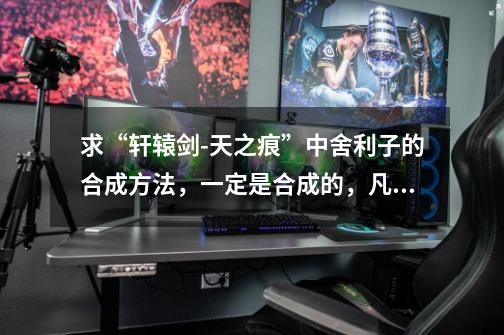 求“轩辕剑-天之痕”中舍利子的合成方法,一定是合成的,凡是能找的我都找到了,所以求合成方法。-第1张-游戏信息-龙启网